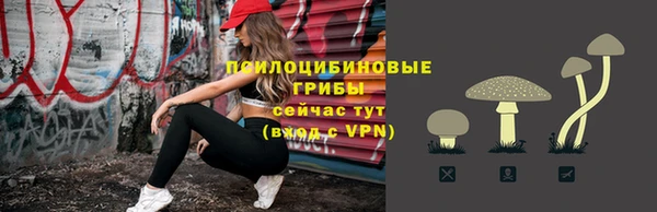 дживик Карталы