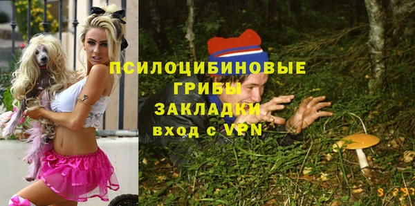 прущий лед Карпинск