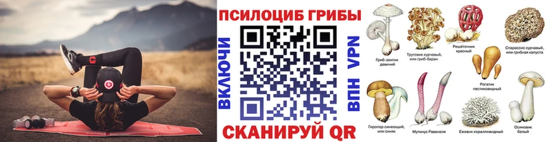 Галлюциногенные грибы мухоморы  где найти   Зея 
